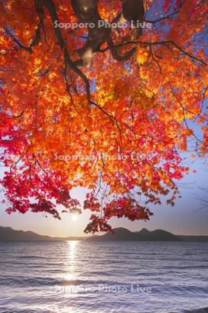 洞爺湖の日没と中島と紅葉