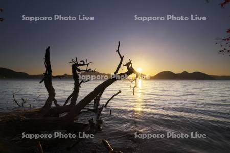 洞爺湖の日没と中島と枯れ木