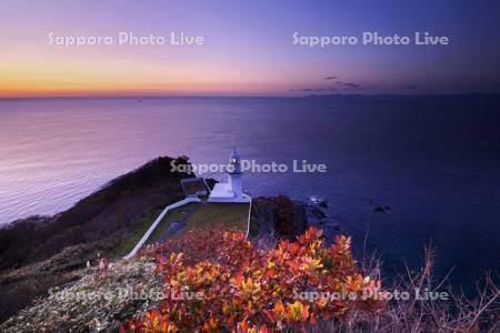 地球岬の朝とチキウ岬灯台と紅葉