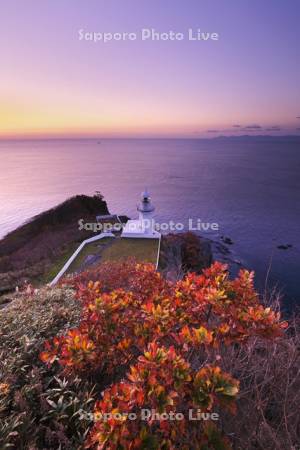 地球岬の朝とチキウ岬灯台と紅葉