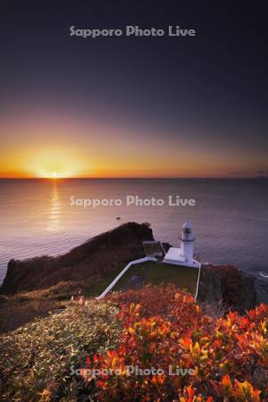 地球岬の日の出とチキウ岬灯台と紅葉