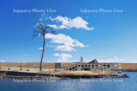 奇跡の一本松と気仙川