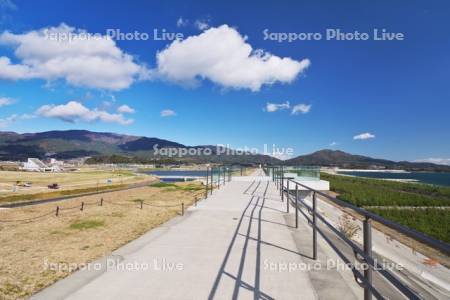 高田松原津波復興祈念公園　海を望む場