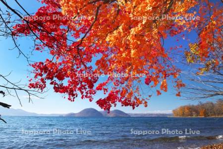 洞爺湖の紅葉と中島