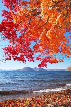 洞爺湖の紅葉と中島