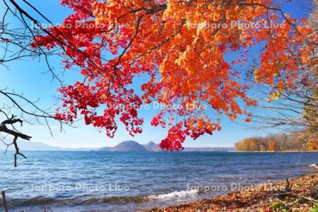 洞爺湖の紅葉と中島