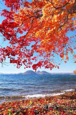 洞爺湖の紅葉と中島