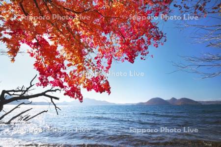 洞爺湖の紅葉と中島