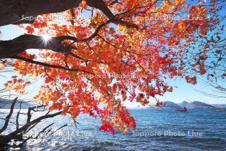 洞爺湖の紅葉と中島