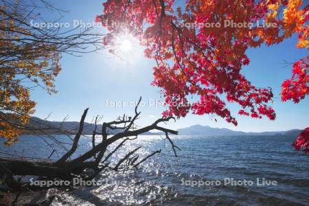 洞爺湖の紅葉と有珠山