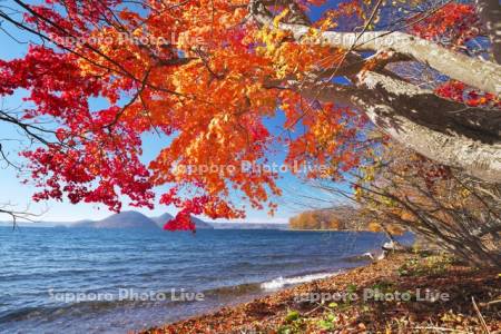 洞爺湖の紅葉と中島