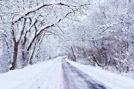 田沢湖畔の雪道