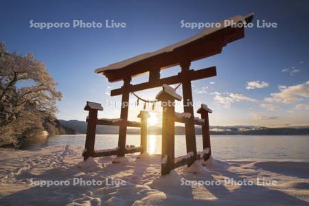 田沢湖と御座石神社の鳥居の日の出