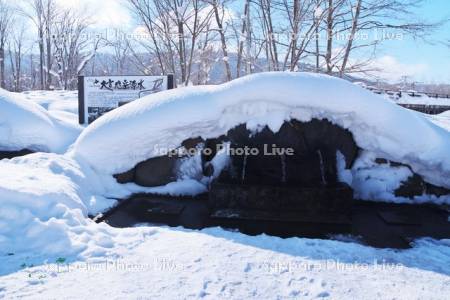 大雪旭岳源水