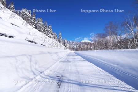 旭岳（大雪山）と雪の道