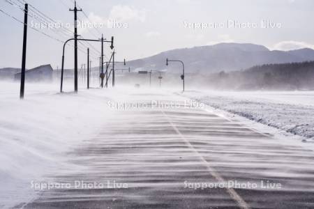 地吹雪（フラワーロード）