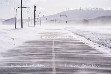 地吹雪（フラワーロード）