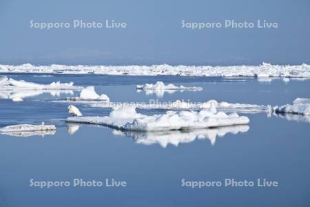 春国岱の流氷と白鳥