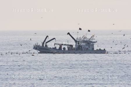 朝の定置網漁船