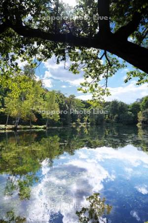 鳥沼公園