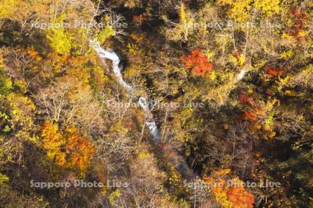 登別川の紅葉