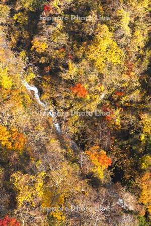 登別川の紅葉
