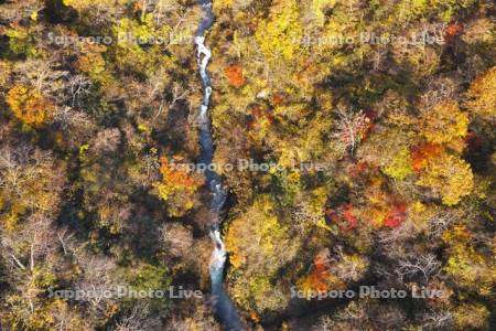 登別川の紅葉
