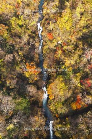 登別川の紅葉