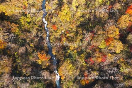 登別川の紅葉