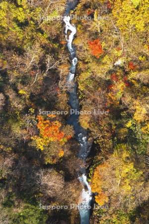 登別川の紅葉