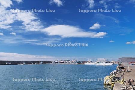 えりも岬漁港