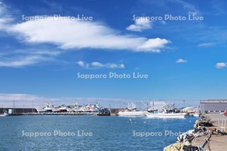 えりも岬漁港