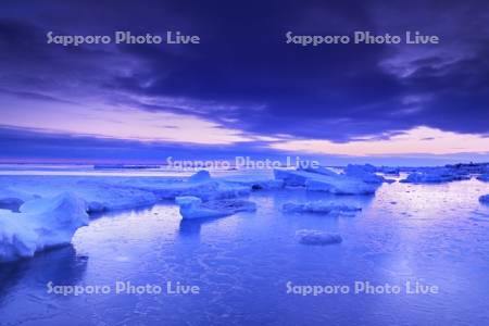 流氷岬の朝の流氷とオホーツク海