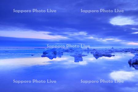 流氷岬の朝の流氷とオホーツク海