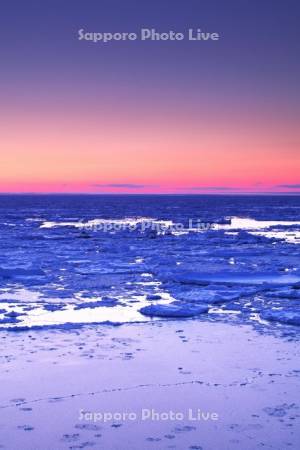 日の出岬の朝の流氷とオホーツク海