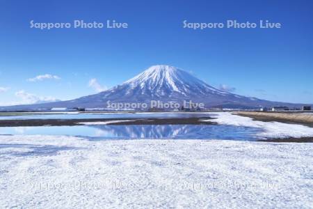 羊蹄山と残雪