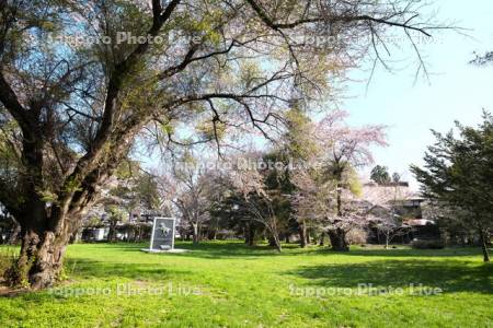 旧伊達邸庭園と迎賓館と桜