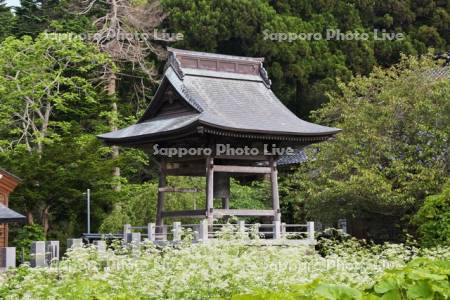 法源寺の鐘楼　寺町