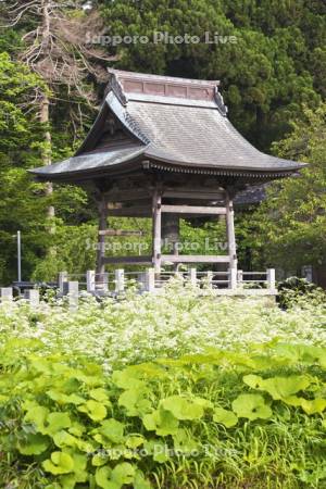法源寺の鐘楼　寺町