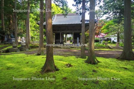 法幢寺とコケ　寺町