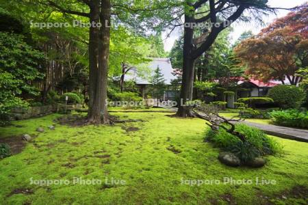 法幢寺とコケ　寺町