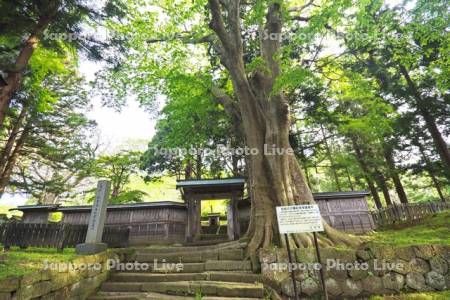 松前藩主松前家墓所　寺町