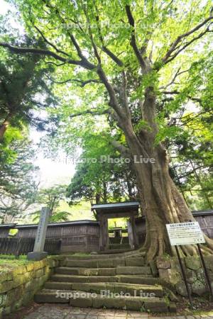 松前藩主松前家墓所　寺町