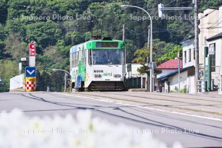 路面電車