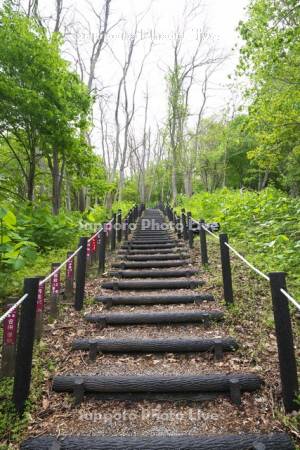 北炭赤間炭鉱のズリ山と階段