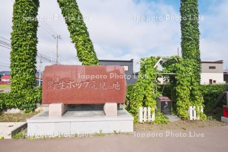 野生ホップ発見の地の碑