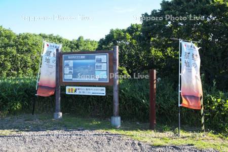 牧の内の文化遺産　鮭の聖地