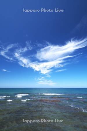 日本海と雲