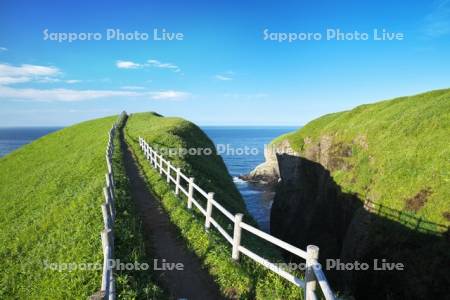 涙岬と遊歩道と太平洋