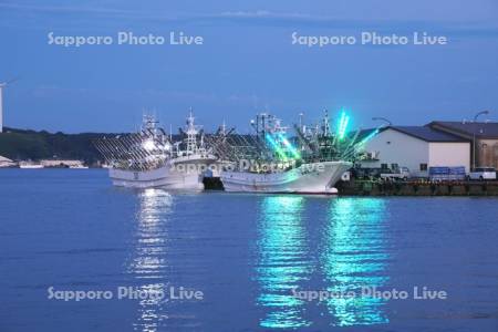 花咲港のサンマ漁船　朝
